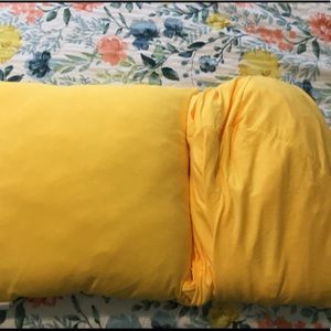 Loveseat slipcover and matching pillow